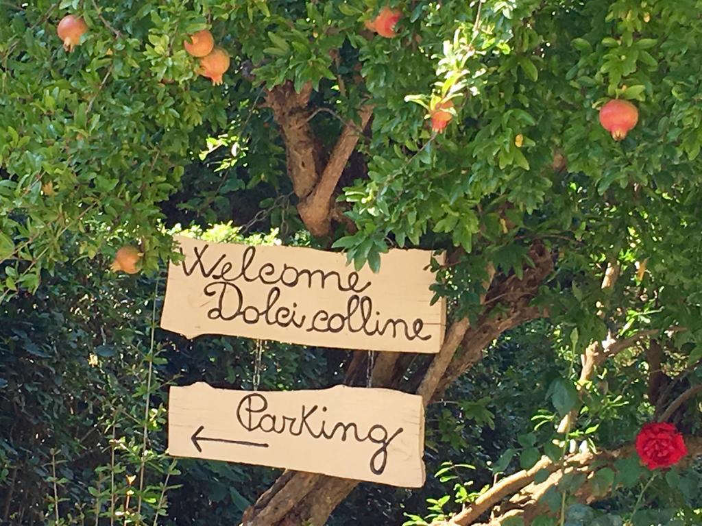 Borgo Dolci Colline Villa คาสติญโญน ฟิโอเรนทิโน ภายนอก รูปภาพ